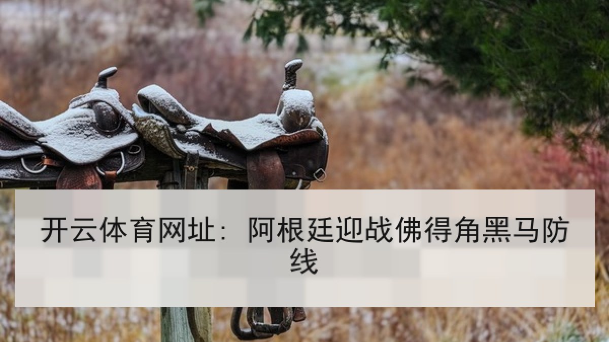 开云体育网址: 阿根廷迎战佛得角黑马防线 开云体育网址: 阿根廷迎战佛得角黑马防线